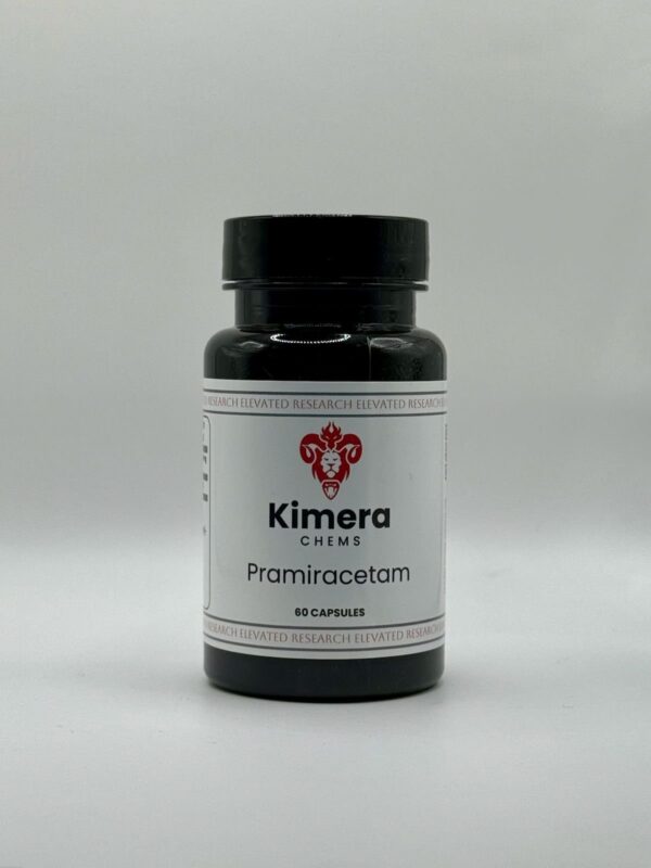 Pramiracetam - Image 2