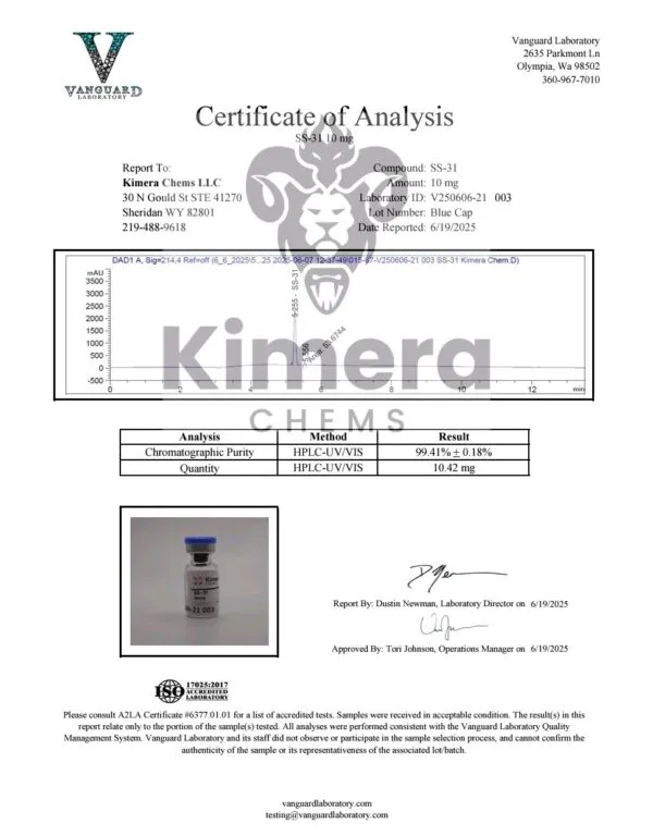 SS-31 - Image 4