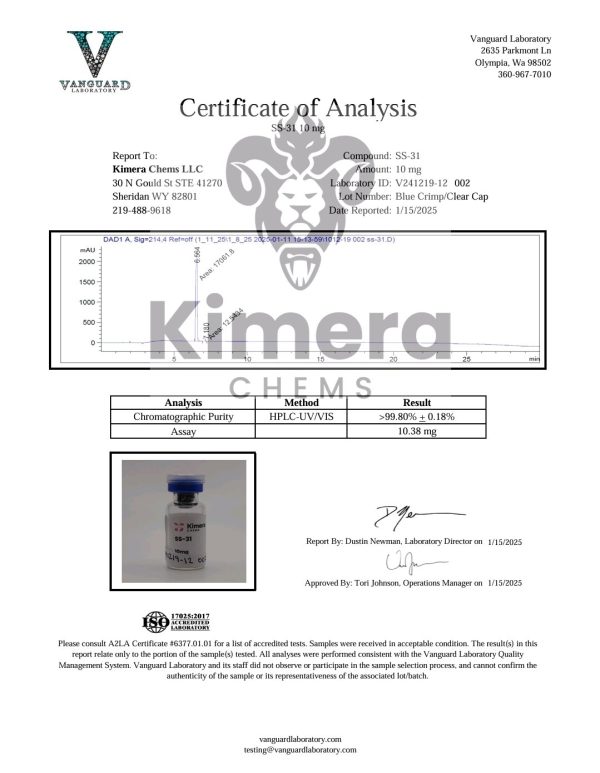 SS-31 - Image 3