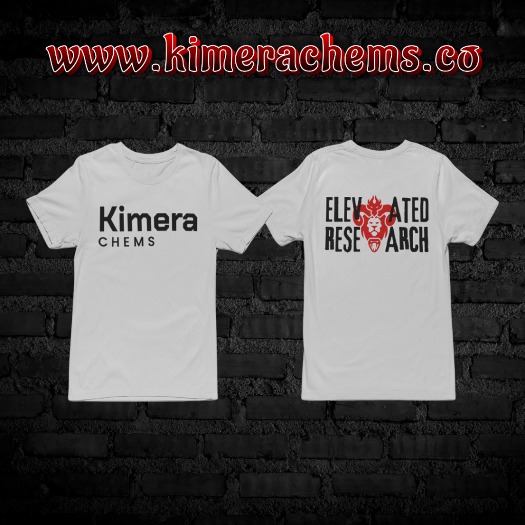 Elevated Research Shirt - Grey