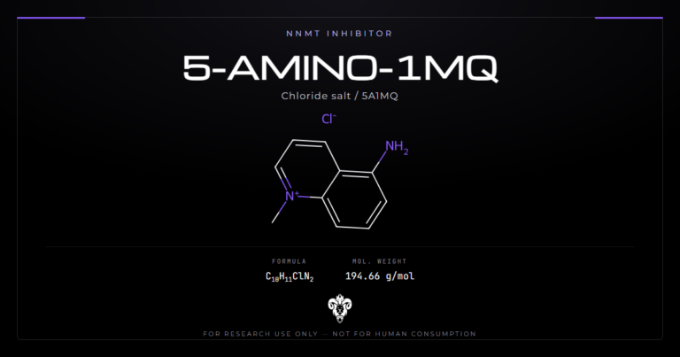 5-Amino-1MQ skeletal structure showing the N-methylated quinolinium ring and 5-amino group, labeled as an NNMT inhibitor