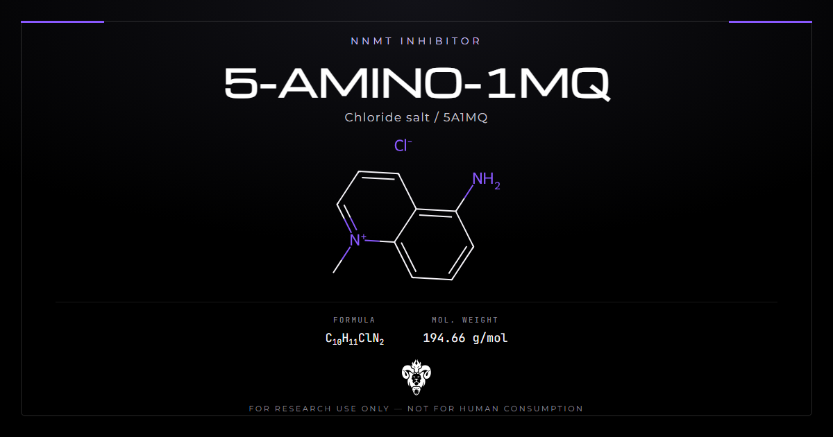 5-Amino-1MQ skeletal structure showing the N-methylated quinolinium ring and 5-amino group, labeled as an NNMT inhibitor