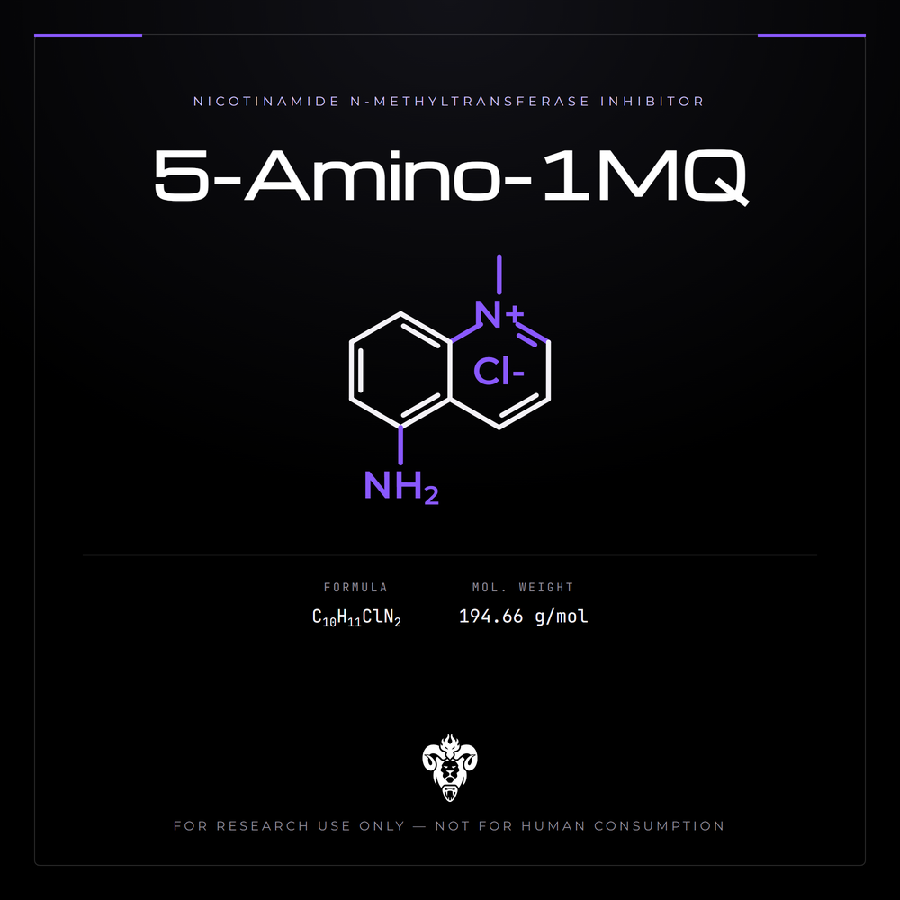 Chemical structure representation of 5-Amino-1MQ, a methylquinolinium derivative.
