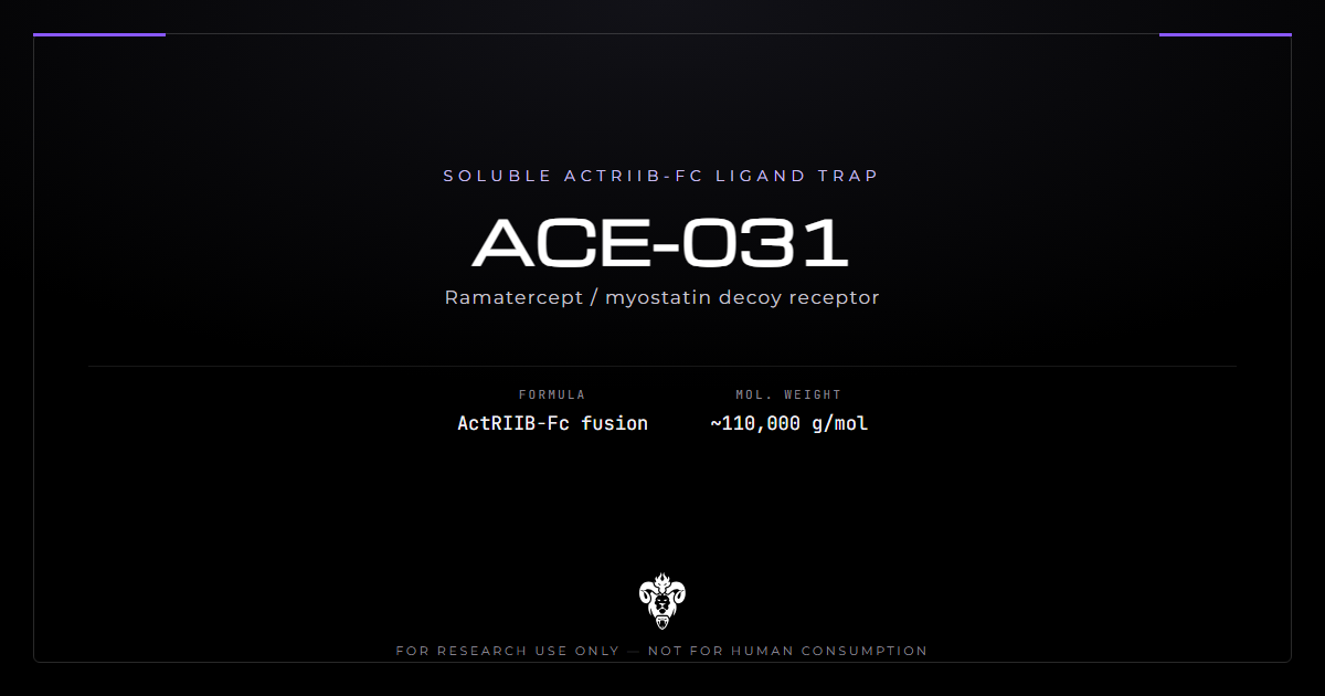 ACE-031 identity card for the ActRIIB-Fc fusion protein on a dark laboratory background