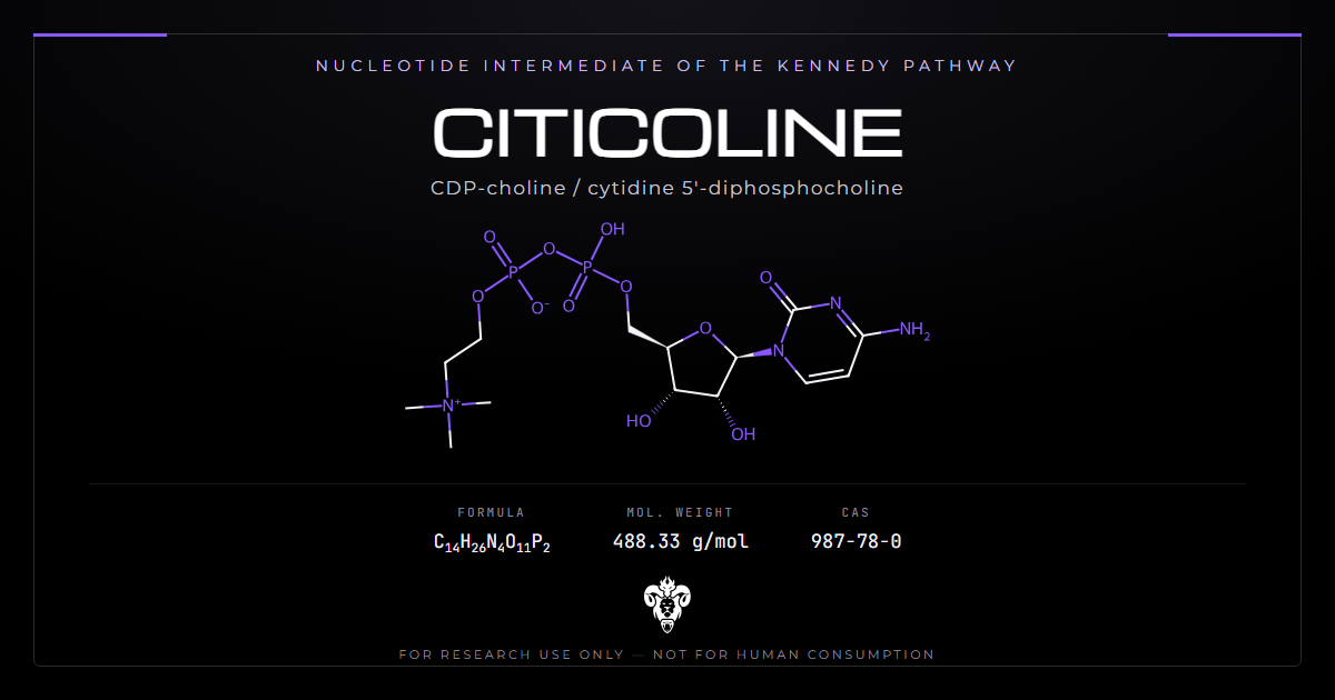 Citicoline structure, the cytidine diphosphate choline nucleotide intermediate