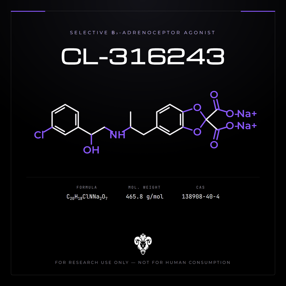 Chemical structure representation of CL-316243, an arylethanolamine.