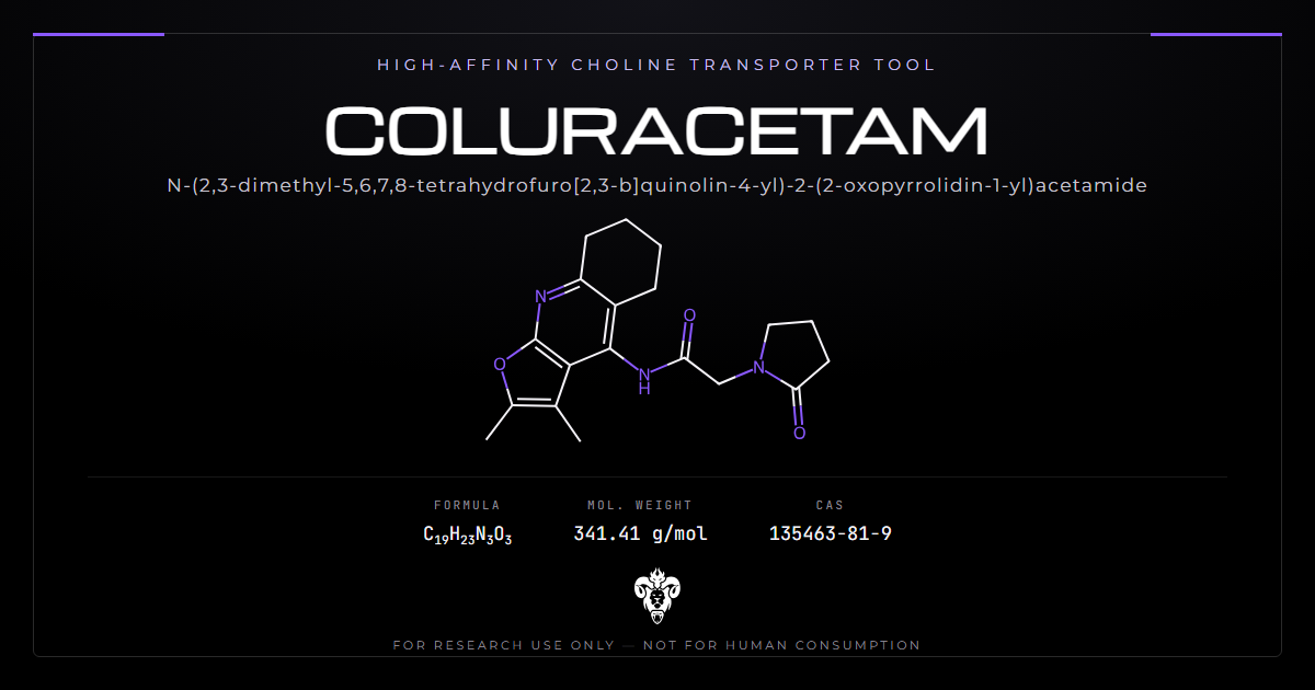 Coluracetam chemical structure with molecular formula C19H23N3O3 on a dark laboratory background