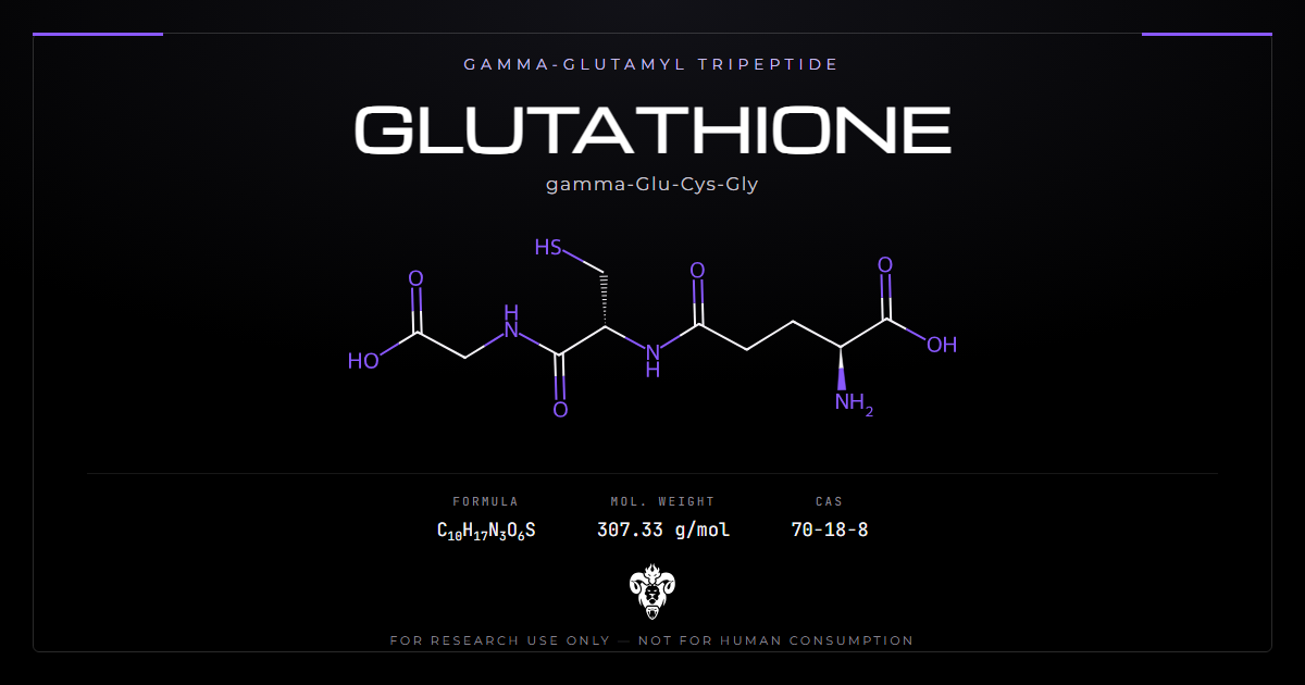 Glutathione chemical structure, gamma-glutamyl-cysteinyl-glycine tripeptide with free thiol