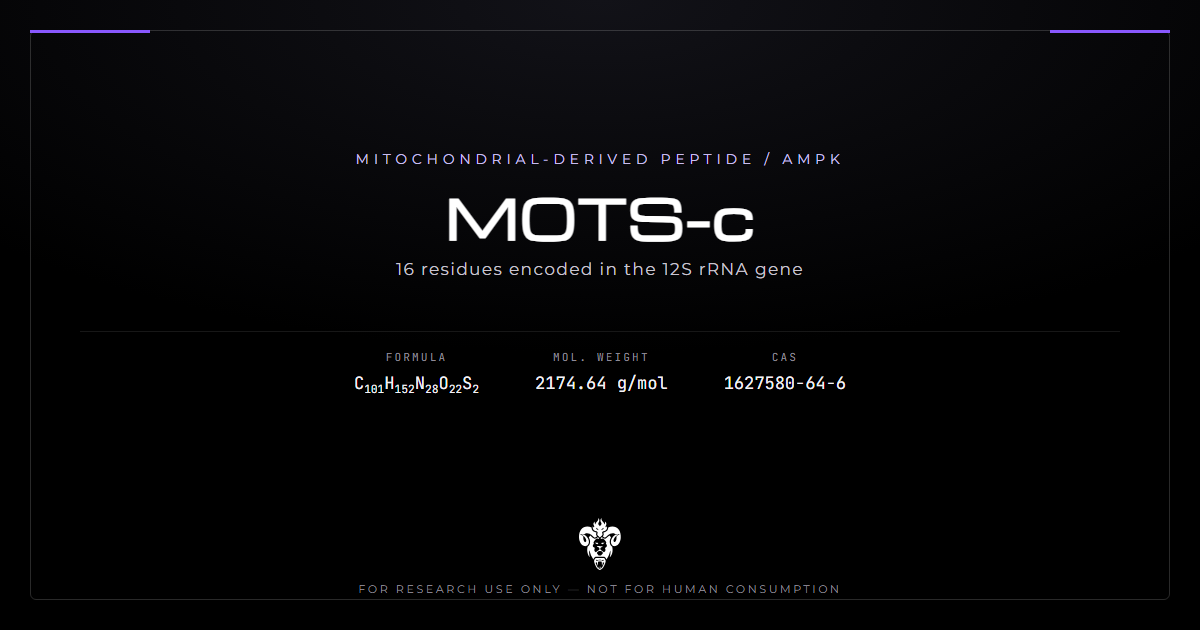 MOTS-c cover, the 16-residue mitochondrial-derived peptide and its identity data