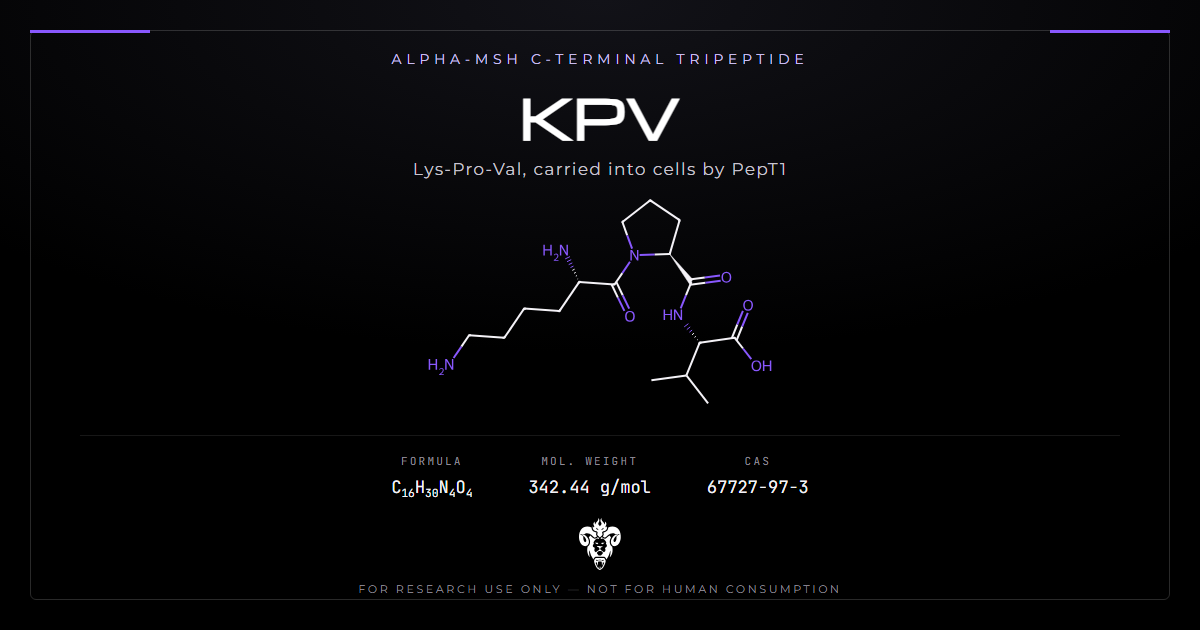 KPV cover, the alpha-MSH C-terminal tripeptide and its identity data