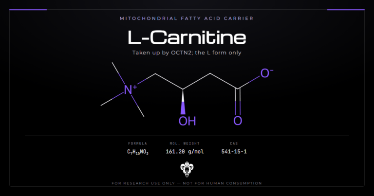 L-Carnitine cover, the fatty acid carrier and its identity data