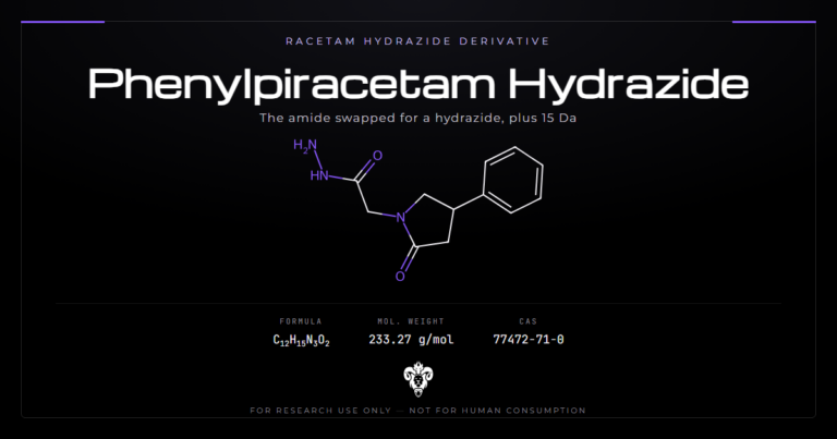 Phenylpiracetam Hydrazide cover, the racetam hydrazide derivative and its identity data