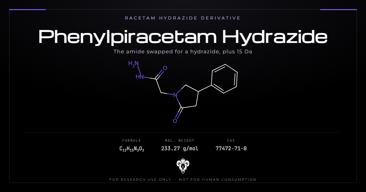 Phenylpiracetam Hydrazide cover, the racetam hydrazide derivative and its identity data