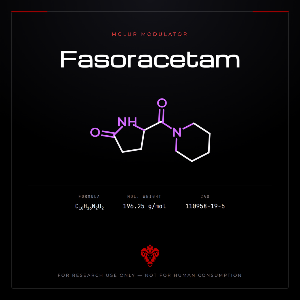 Chemical structure representation of Fasoracetam, a racetam / Pyrrolidinone Derivative.