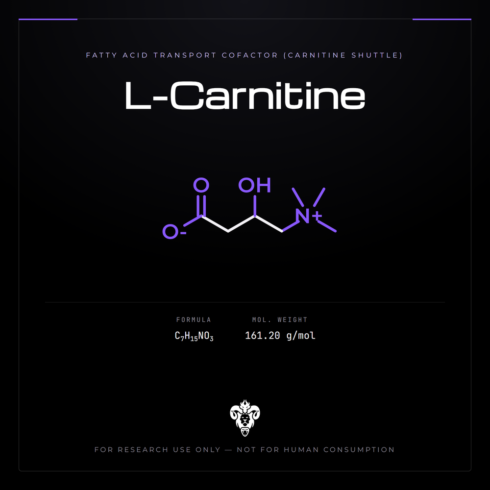 Chemical structure representation of L-Carnitine, a quaternary ammonium zwitterion.