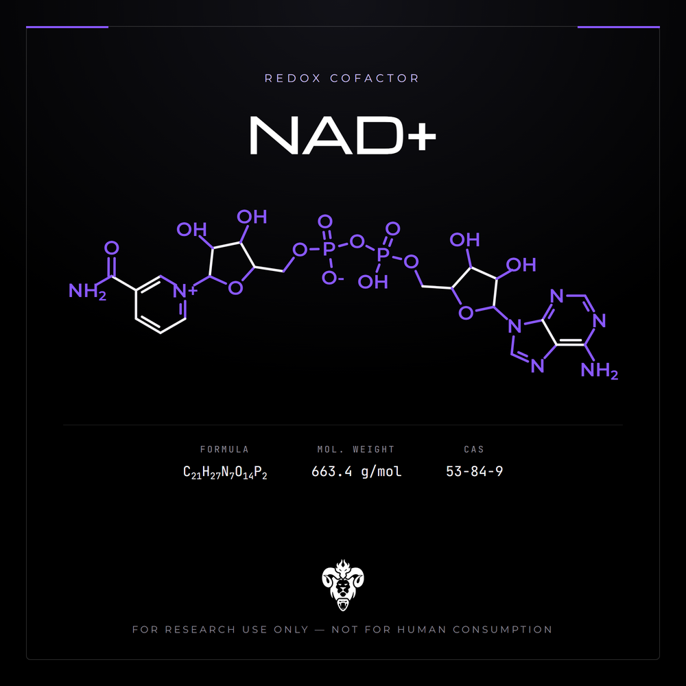 Chemical structure representation of NAD+, a dinucleotide coenzyme.