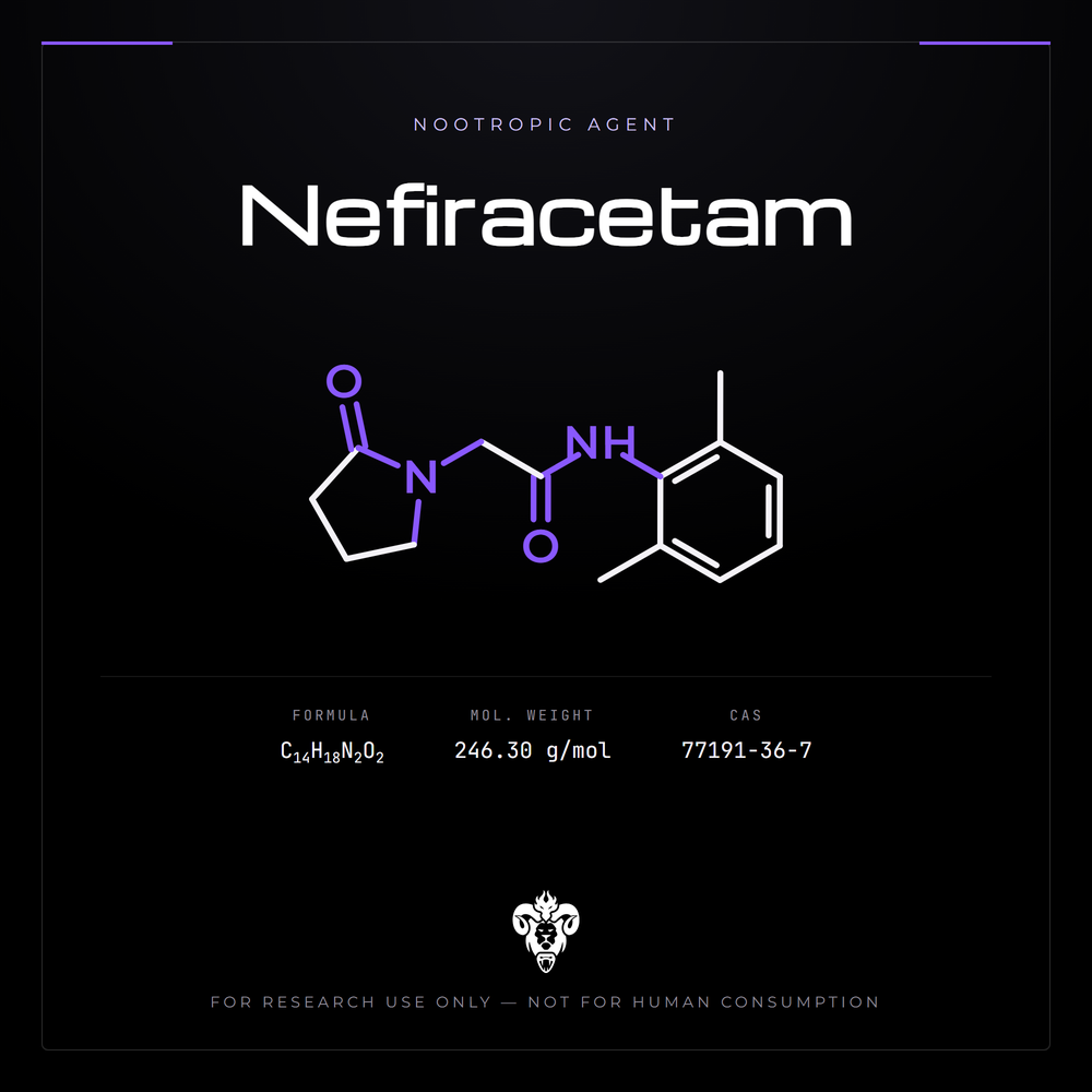Chemical structure representation of Nefiracetam, a n-phenyl-substituted pyrrolidone / Racetam.