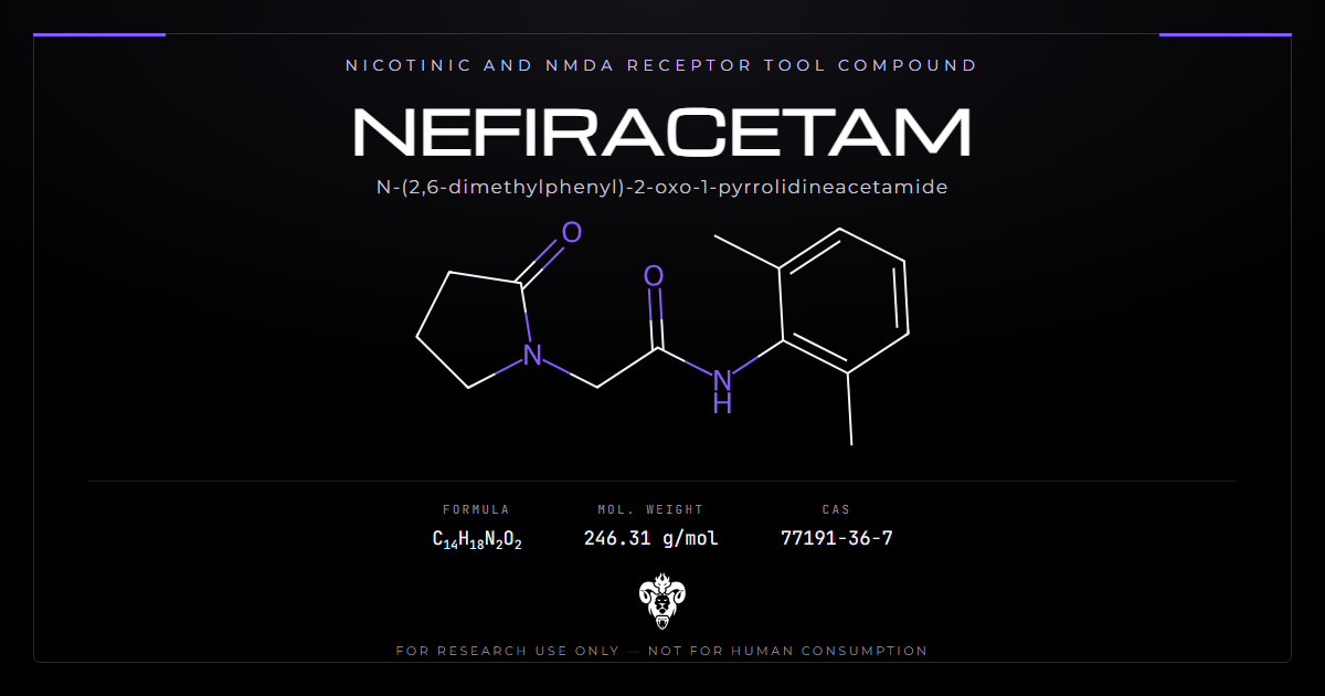 Nefiracetam chemical structure with molecular formula C14H18N2O2 on a dark laboratory background