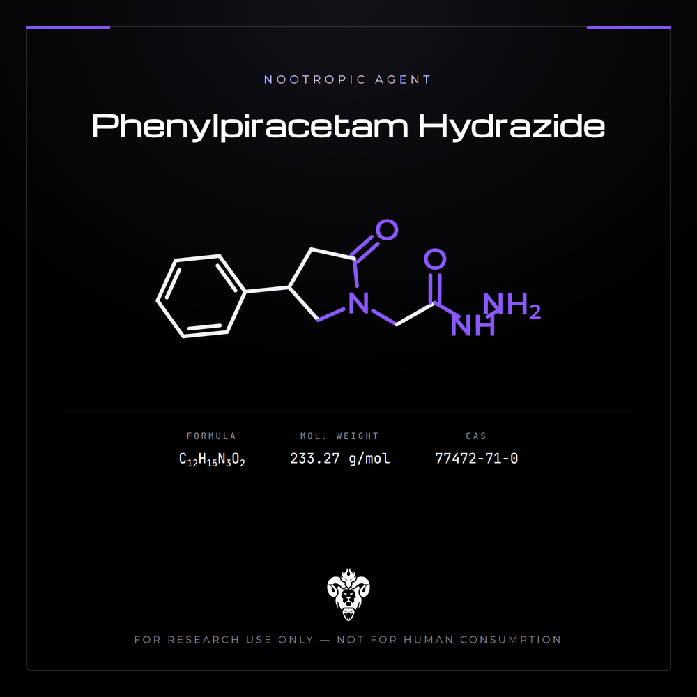 Chemical structure representation of Phenylpiracetam Hydrazide, a racetam-class Hydrazide derivative.