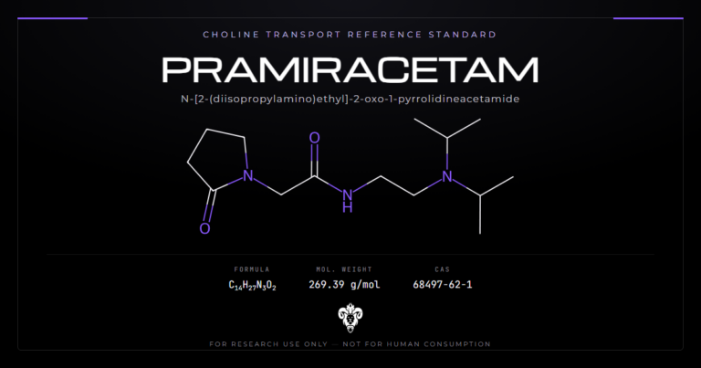 Pramiracetam chemical structure with molecular formula C14H27N3O2 on a dark laboratory background