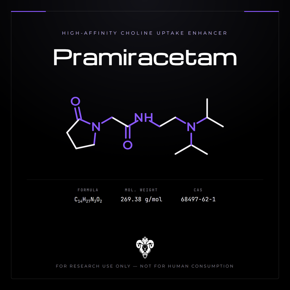 Chemical structure representation of Pramiracetam, a racetam derivative / Lipophilic.