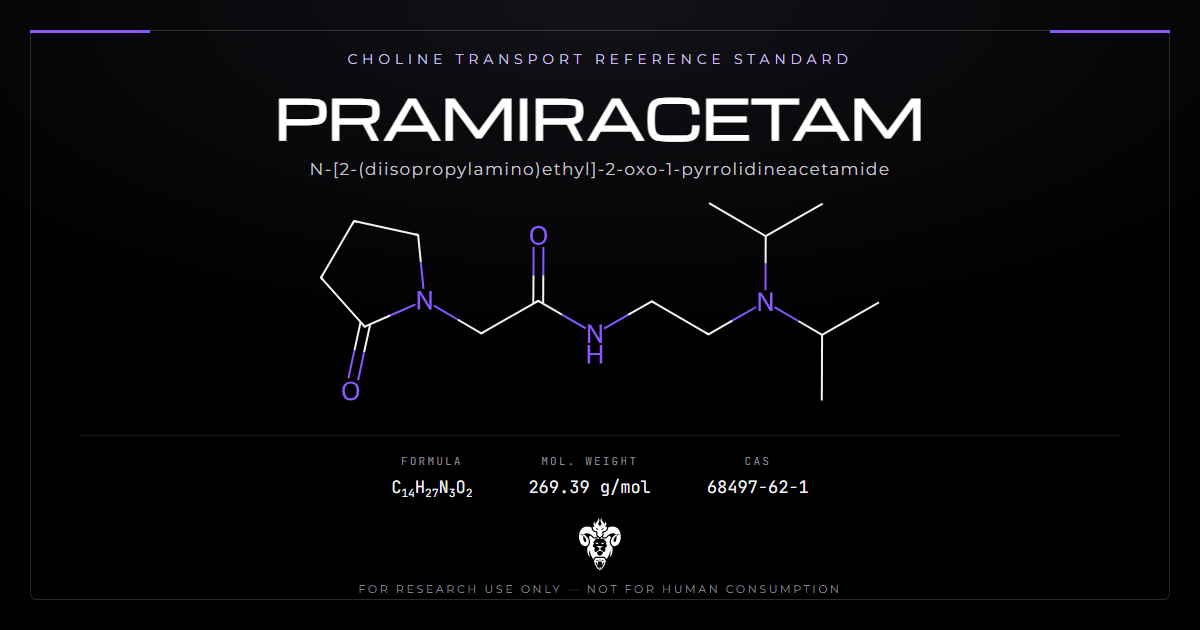 Pramiracetam chemical structure with molecular formula C14H27N3O2 on a dark laboratory background