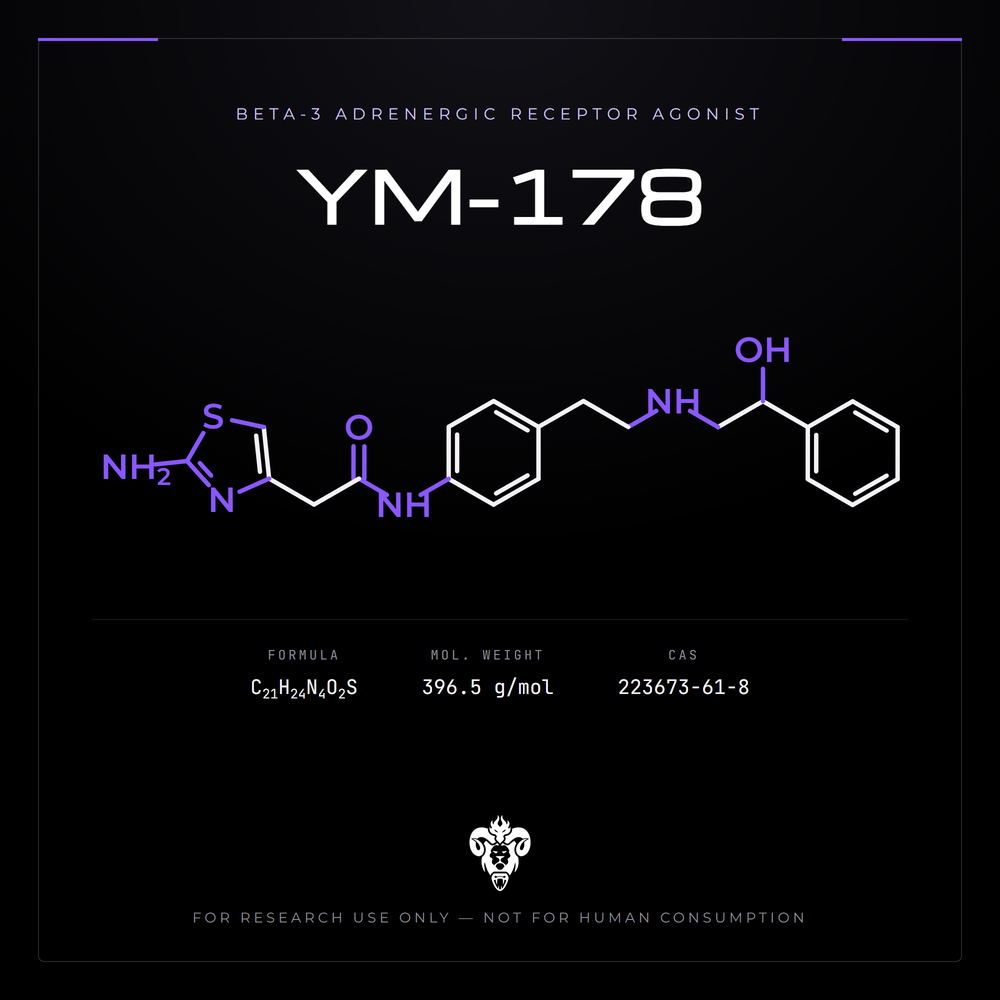 Chemical structure representation of YM-178, an aminothiazole acetamide derivative.